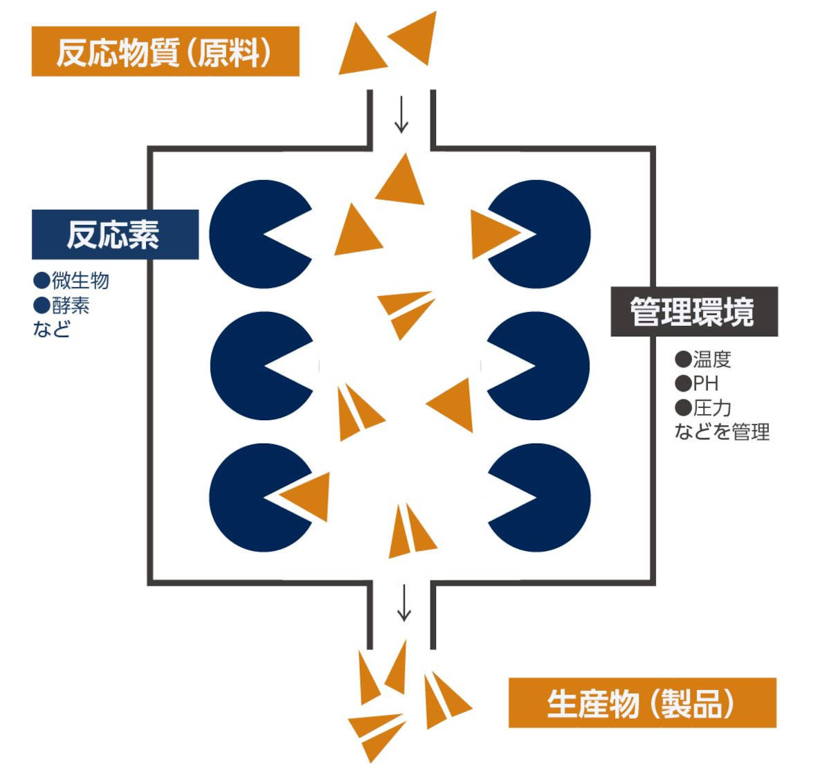 バイオリアクターの原理